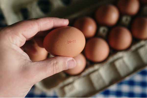 卵の賞味期限